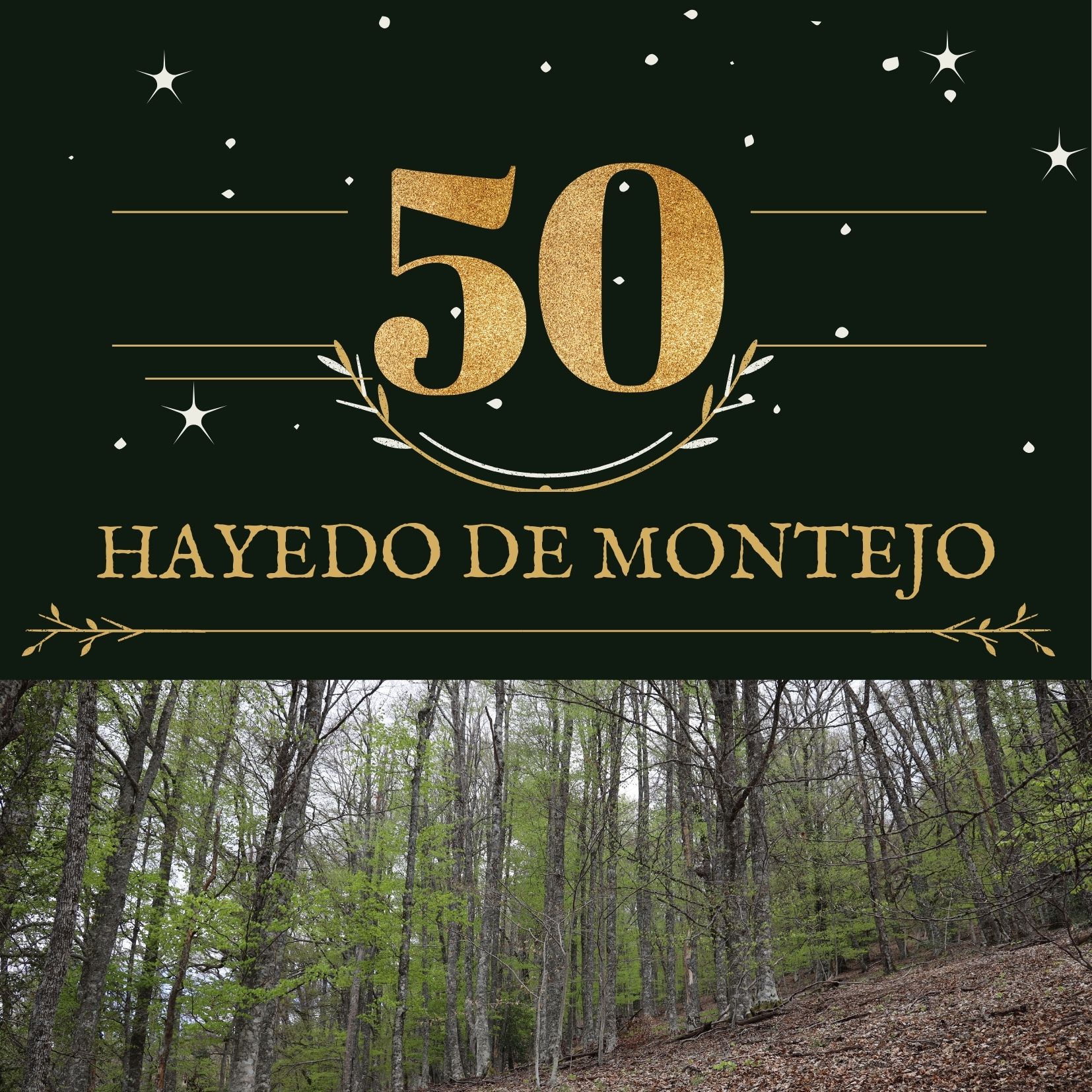 50 años Hayedo de Montejo