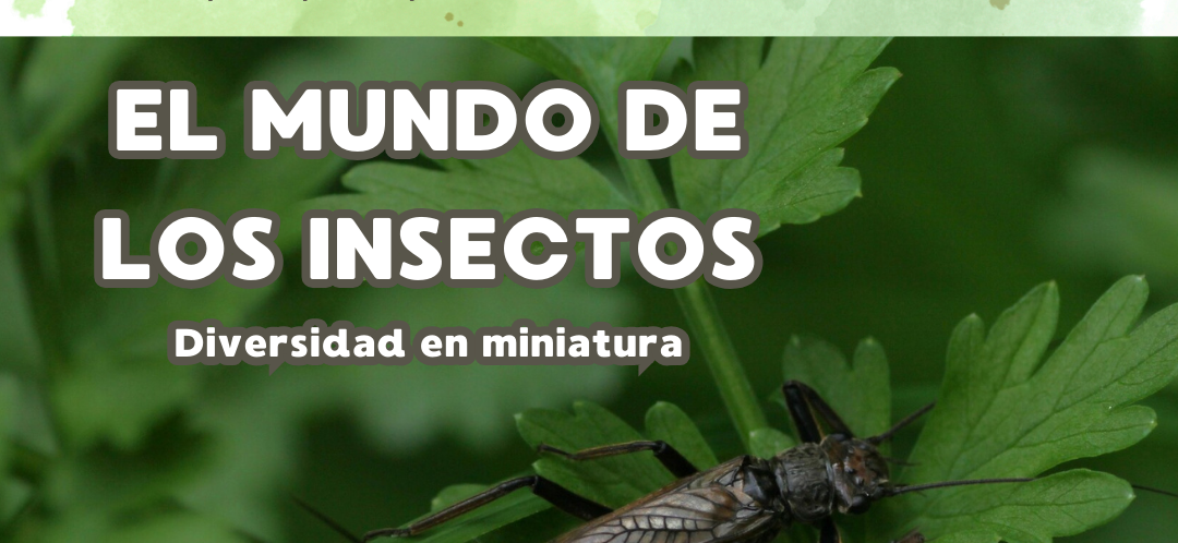 EL MUNDO DE LOS INSECTOS