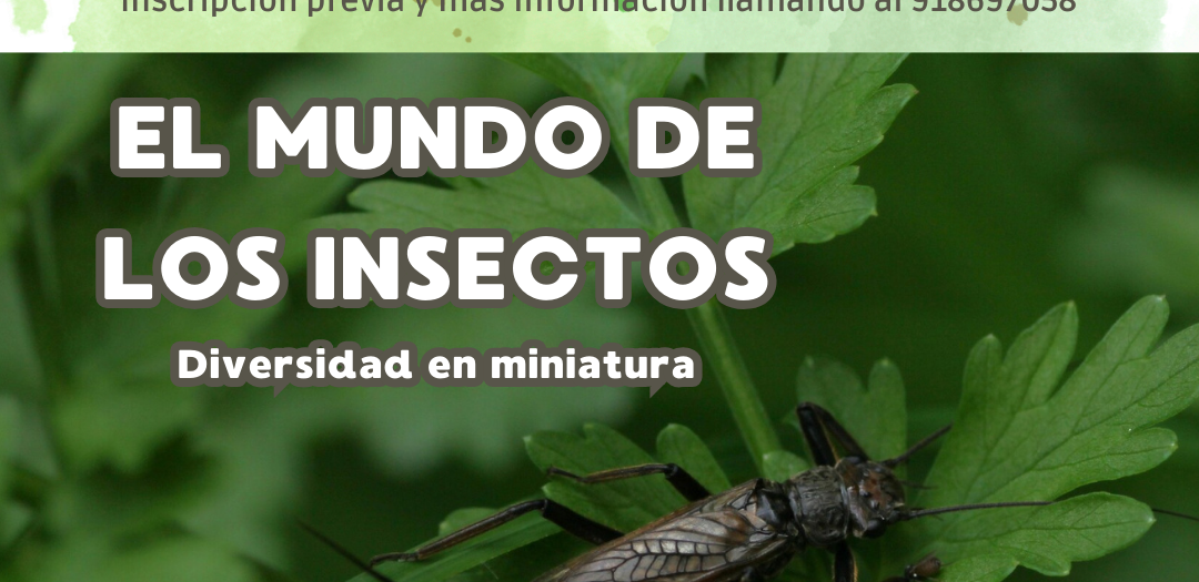 EL MUNDO DE LOS INSECTOS