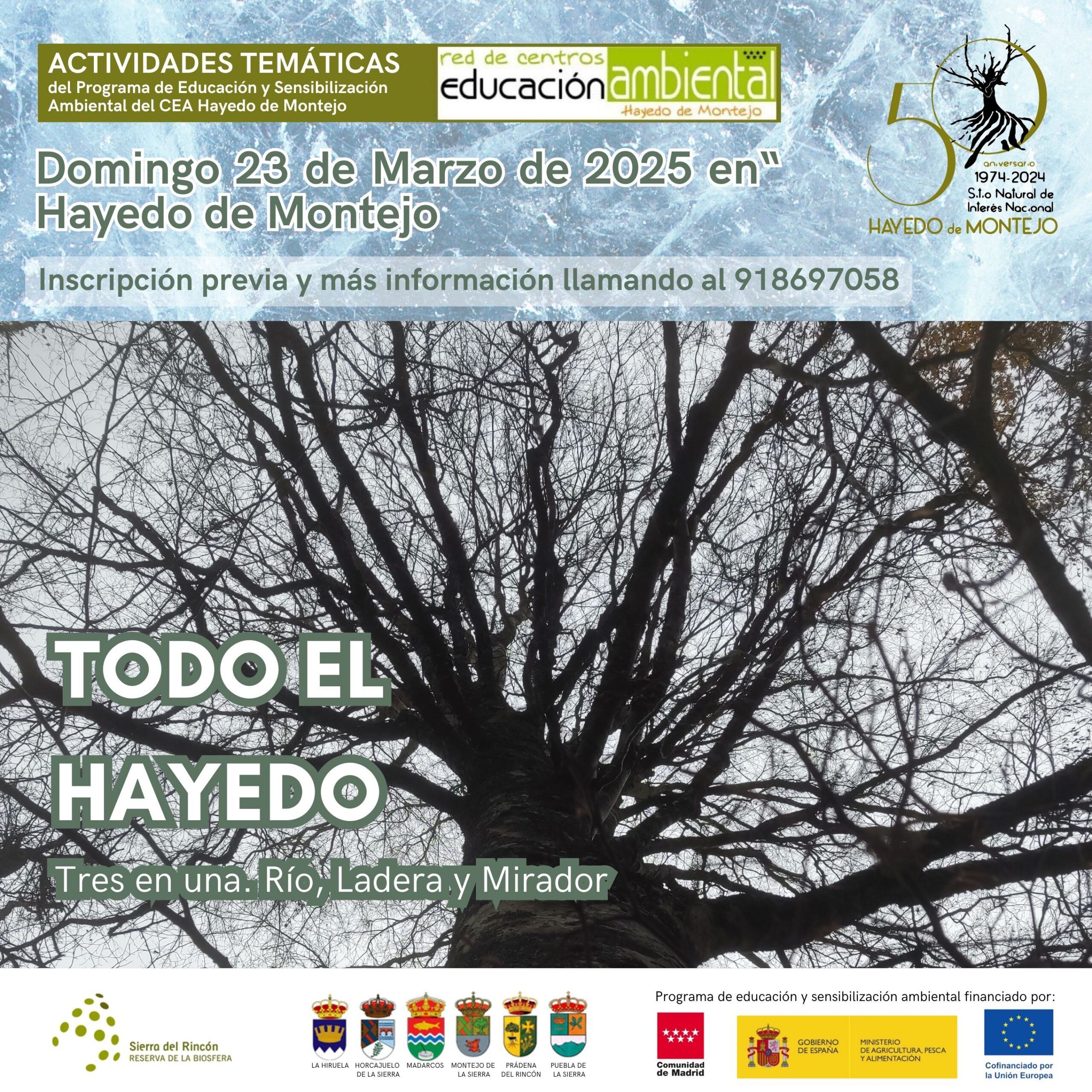 Cartel Actividad temática "Todo el Hayedo"